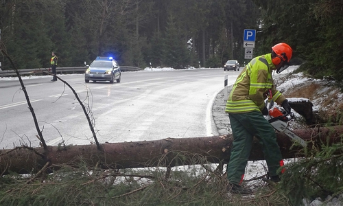 Die Feuerwehr Bad Harzburg konnte die Schäden schnell beseitigen.
