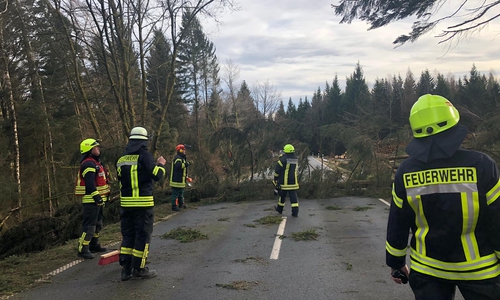 Mehrere Bäume blockierten am gestrigen Sonntag die Straßen im Harz. 