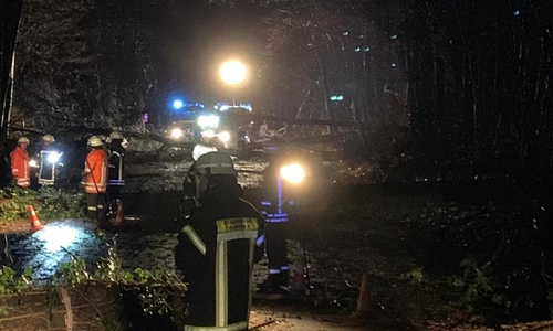 Die Feuerwehr musste mehrere Bäume von den Straßen entfernen.
