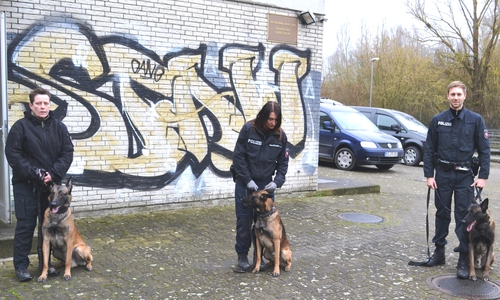 Nicole Wydor, Sabrina Kaps und Philipp Stöpler mit den Hunden Fiete, Aron und Zulu   