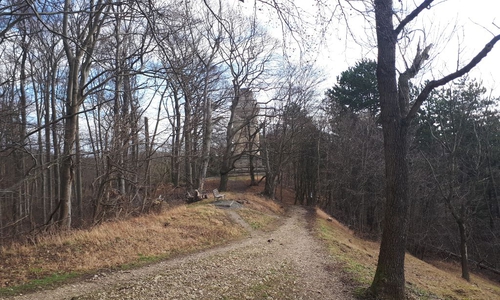 Im Bereich der Asseburg bestehe durch die Absterbeerscheinungen der Buchen akute Lebensgefahr.