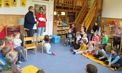 Untersuchung der Kaninchen in der Kita „Hand in Hand“
