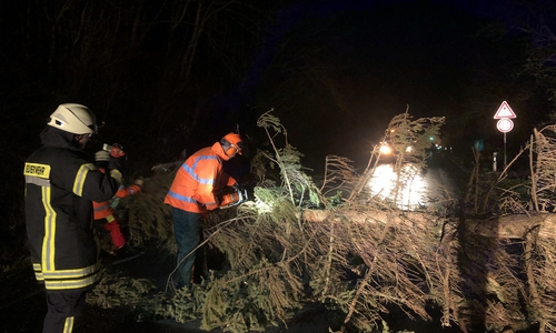 Am häufigsten rückte die Feuerwehr wegen umgestürzter Bäume aus.