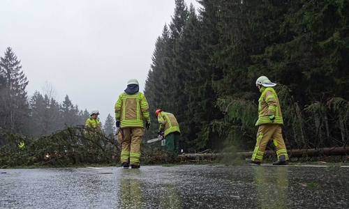 Auf der B 4 mussten mehrfach Bäume beseitigt werden. 