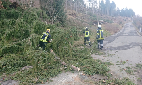 Am Kutscherweg musste eine umgestürzte Fichte beseitigt werden. Es war der zweite Sturmbedingte Einsatz der Okeraner Feuerwehr am Sonntag. 