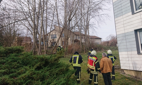 Die Feuerwehr musste drei weitere Bäume kontrolliert zu Fall bringen.