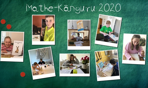 eine von der Schule erstellte Collage mit Fotos der teilnehmenden Schüler.