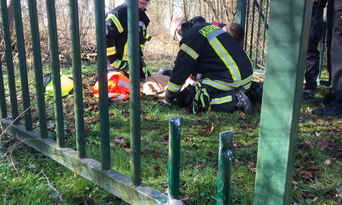 Die Feuerwehr entfernte zwei Stäbe aus dem Tor, um das Tier zu befreien.