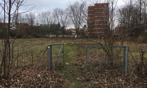 Auf dieser Fläche könnte eine Hundewiese entstehen.