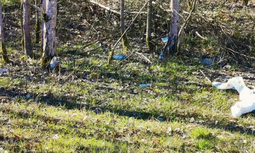 Schon vor Inbetriebnahme des neuen Bahnhofs ist das Gelände verschmutzt.