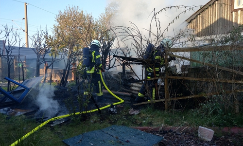 Das Feuer war bereits auf eine Hecke übergegangen.