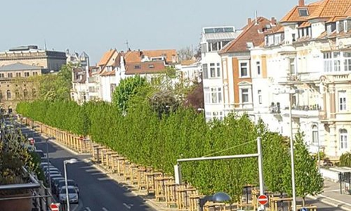 Die Jasperallee im neuen Gewand.