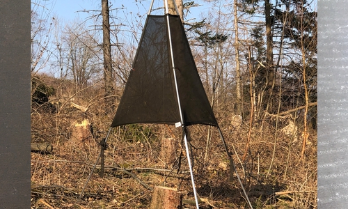 Die „Zelte“ im Goslarer Stadtwald sind keine moderne Kunst sondern ein Fangsystem für Borkenkäfer.