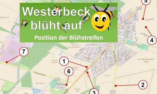 Die Position der Blühstreifen.