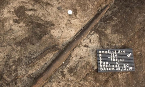 Der 300.000 Jahre alte Wurfstock bei seiner Entdeckung. 