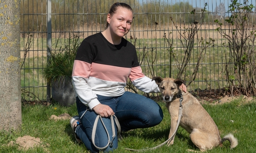 Tierpflegerin Tabea Götsch mit dem Mischling Jasper - auch er sucht noch ein liebevolles Zuhause.