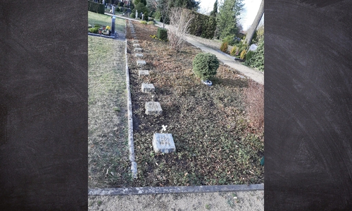Das Foto zeigt das Kriegsgräberfeld auf dem Katholischen Friedhof in Gifhorn. Hier befinden sich 46 Gräber von polnischen, russischen, ukrainischen und ungarischen Toten. Die meisten starben in den Tagen nach der Tragödie auf dem Bahnhof, wie auch der Pole Mieczyslaw Banasiak, der am 25.4.1945 starb. Er ist einer der wenigen namentlich bekannten Opfer. 