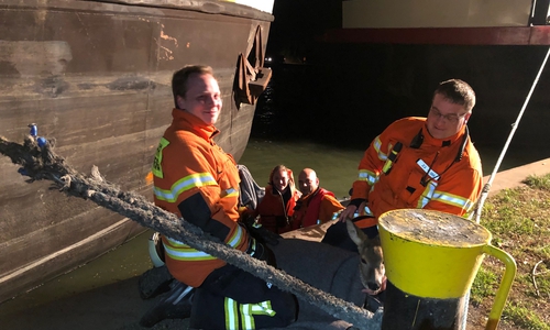 Zurück im Trockenen - Das Reh und seine Lebensretter. 