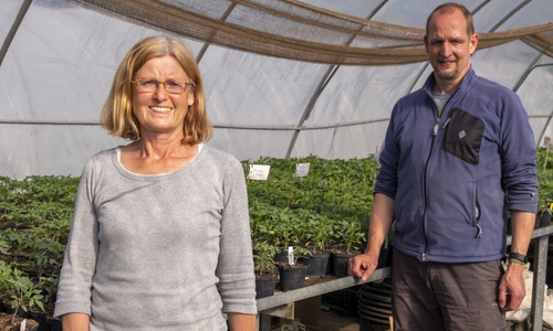 Beate Pieper wurde von Kameramann Henning Kramer für den "virtuellen Tomatentag" in Szene gesetzt. 
