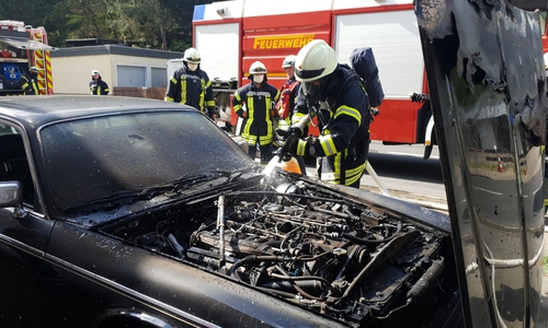 Der Jaguar wurde stark in Mitleidenschaft gezogen.