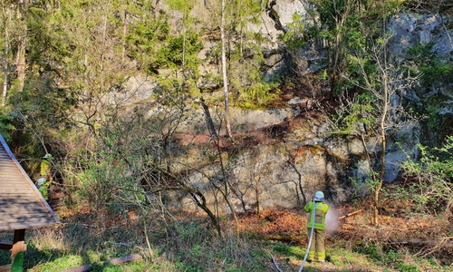 Auch wenn das Feuer im Waldstück am Stübchental nicht groß war, musste die Feuerwehr schnell reagieren, um eine Ausbreitung zu vermeiden. 
