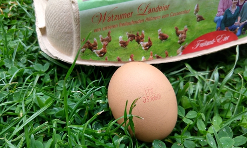 Laut Stempel auf dem Ei stammt dieses gar nicht vom Watzumer Hof.