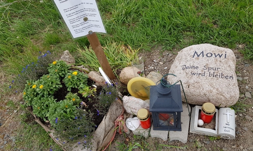 Mit einem Brief, der Unfallstelle angebracht wurde, wendete sich die Familie bereits schonmal an den Täter.