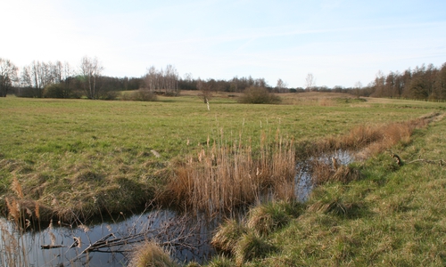 Blick auf das Naturschutzgebiet Herzogsberge bei Cremlingen.