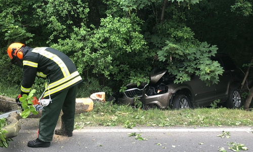 Ein Baum musste gefällt werden, um das Unfallfahrzeug wieder auf die Straße ziehen zu können.