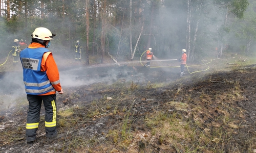 Die Feuerwehr beim Löschen der Waldbrände.