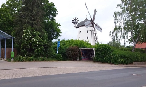 Die Bushaltestelle in Wendhausen, an der am Montag der Umbau beginnt.