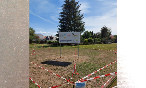 Auch am Ulmenweg soll eine Blühwiese entstehen. Die WoBau hat bereits mit der Aussaat begonnen.