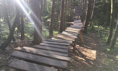 Ein aufmerksamer Waldbesucher hat die halsbrecherische Konstruktion mit Sprungschanze zwischen den Bäumen entdeckt und gemeldet.