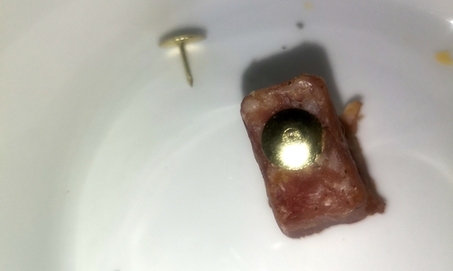 Dieser Köder mit Reißzwecke wurde mitten in Clausthal-Zellerfeld gefunden.