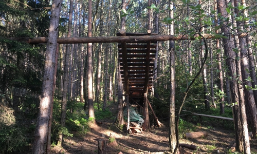 Halsbrecherisch: Auch diese gewagte Rampe war Teil der Konstruktion, die ein Spaziergänger im Wald fand. 