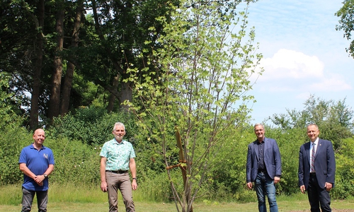 Von links:  Dirk Scheffler, Stadtgärtnerei Peine;  Rüdiger Ingelmann, Abteilung Stadtgrün im städtischen Tiefbauamt;  Dr. Alfred Buse, Präsident Rotary Club Peine;  Bürgermeister Klaus Saemann.