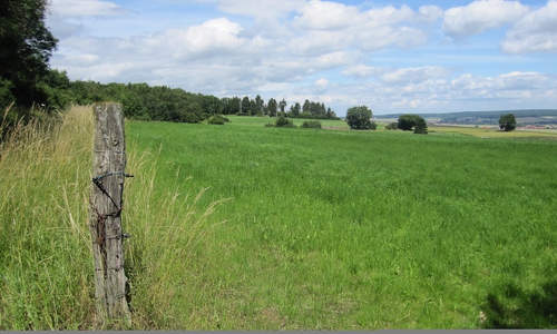 Landschaftsbild: Das waldreiche Schutzgebiet mit Felsen, welliger Höhenlagen und vielen schönen Aussichten lädt zur Erholung und zum Erleben einer vielschichtigen Landschaft ein.