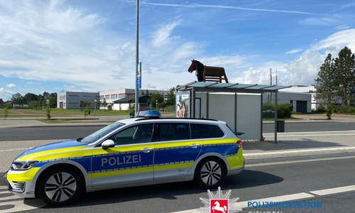 Das gefundene Pferd.