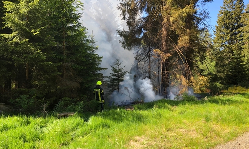 Der Rauch war weithin sichtbar, auch wenn sich das Feuer (noch nicht) weit ausgebreitet hatte. 