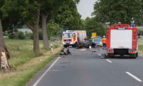Das Auto kollidierte mit einem Baum und blieb auf dem Dach liegen.