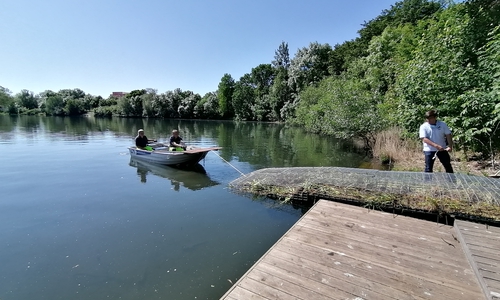 Mitarbeiter der WEB ziehen eine bepflanzte schwimmende Insel in den Neuen Teich. Archivbild.