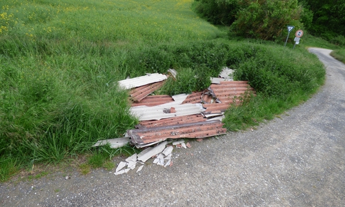 Illegale Müllentsorgung.