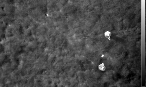 So sieht die Zukunft der Suche nach Rehkitzen aus: Das Bild zeigt die Wärmebildkameraaufnahme einer Drohne, die das Feld in 50 Metern Höhe überfliegt. Die beiden Kitze stechen klar hervor.