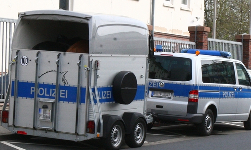 Die Polizei in Peine wird von der Reiterstaffel unterstützt. (Archivbild)