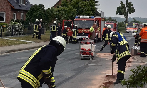 Mit Bindemittel nahm die Feuerwehr den restlichen Diesel auf.