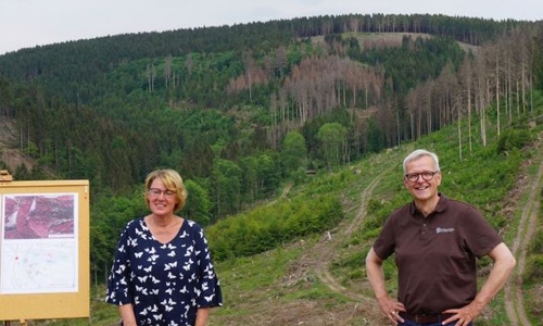 Forstministerin Barbara Otte-Kinast informierte sich bei einem Besuch im Forstamt Seesen über die Lage im Wald der Niedersächsischen Landesforsten (NLF).