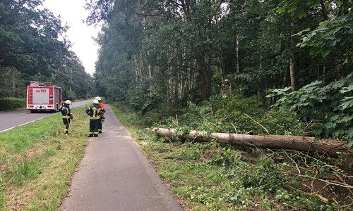 Die Feuerwehr machte den Weg wieder frei.