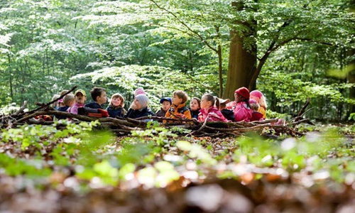 Schulkinder machen im Räuberwald nach einer Woche ihr Forscher-Diplom.