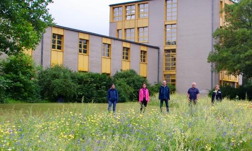 Die Kooperationspartner begutachten den blühenden Erfolg ihres Projekts. 