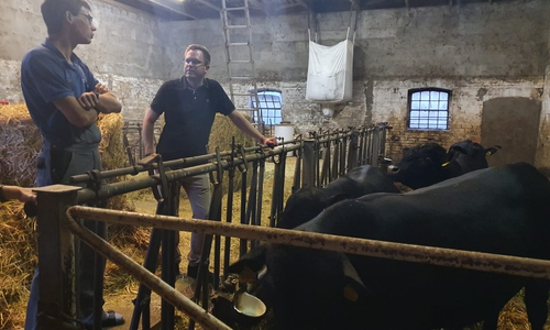 Landwirt Johannes Wüstemann und CDU-Bundestagskandidat Dr. Adrian Haack im Dialog. 